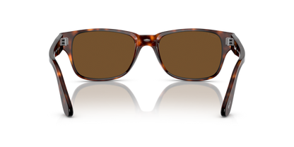 Havana - 0PO3288S 8056597596510