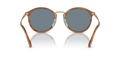 Striped Brown - 0PO3309S 8056597821551