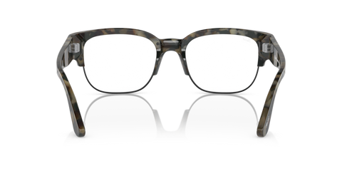 Brown Tortoise - 0PO3319S 8056597812313
