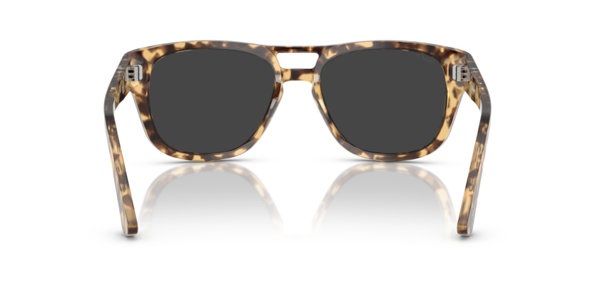 Brown Beige Tortoise - 0PO3366S 8056262229019