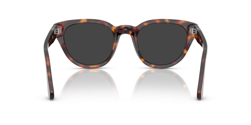 Havana - 0PO3379S 8056262374436 Persol Sunglasses Unisex Butterfly