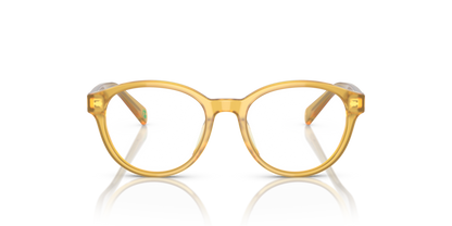 Shiny Opal Honey - 0PP8546U 8056597829595
