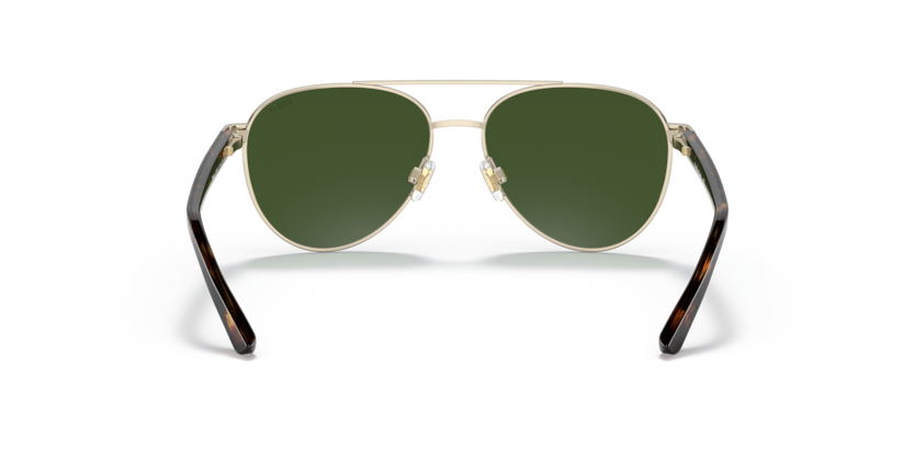 Shiny Pale Gold - 0PP9001 8056597596985