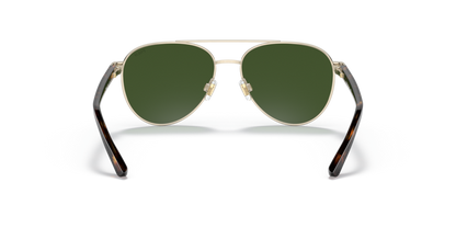 Shiny Pale Gold - 0PP9001 8056597596985