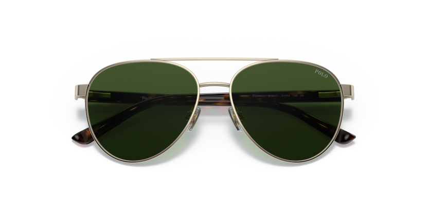 Shiny Pale Gold - 0PP9001 8056597596985