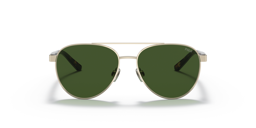 Shiny Pale Gold - 0PP9001 8056597596985