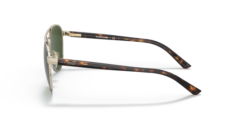 Shiny Pale Gold - 0PP9001 8056597596985