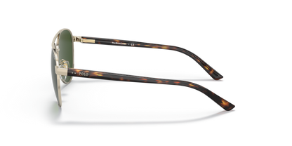 Shiny Pale Gold - 0PP9001 8056597596985