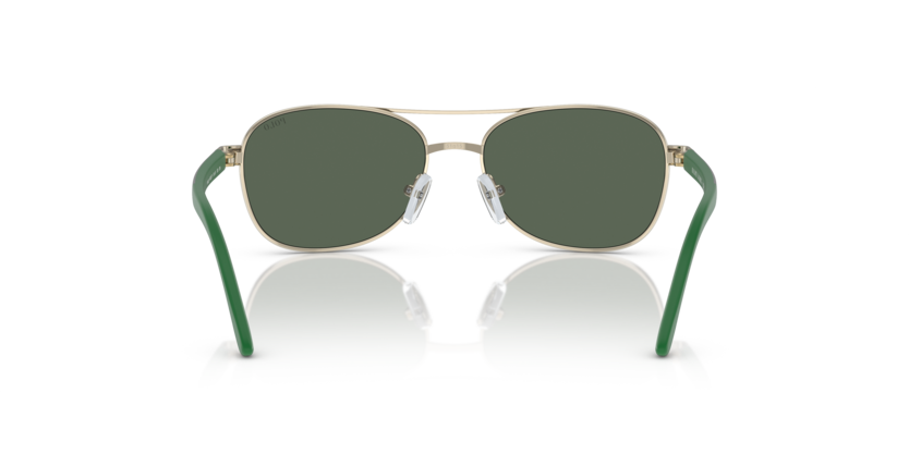 Shiny Pale Gold - 0PP9002 8056597839402