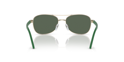 Shiny Pale Gold - 0PP9002 8056597839402