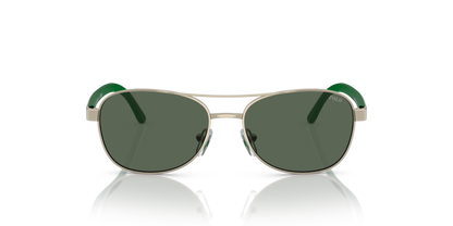 Shiny Pale Gold - 0PP9002 8056597839402