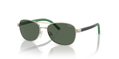 Shiny Pale Gold - 0PP9002 8056597839402