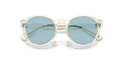 Shiny Transparent Pinot Grey - 0PP9505U 8056597831321