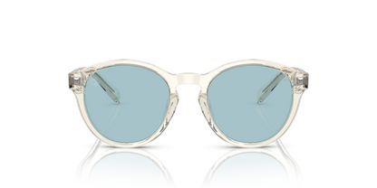 Shiny Transparent Pinot Grey - 0PP9505U 8056597831321