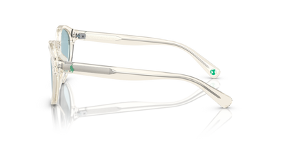 Shiny Transparent Pinot Grey - 0PP9505U 8056597831321