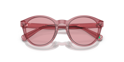 Shiny Transparent Rose - 0PP9505U 8056262037331