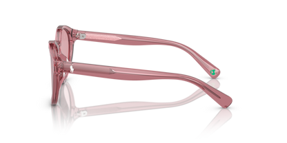 Shiny Transparent Rose - 0PP9505U 8056262037331