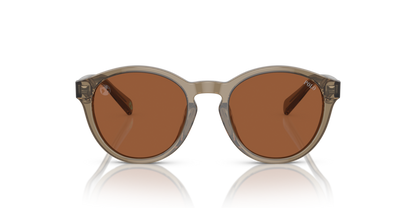 Shiny Transparent Brown - 0PP9505U 8056597831369