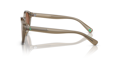 Shiny Transparent Brown - 0PP9505U 8056597831369