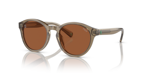 Shiny Transparent Brown - 0PP9505U 8056597831369