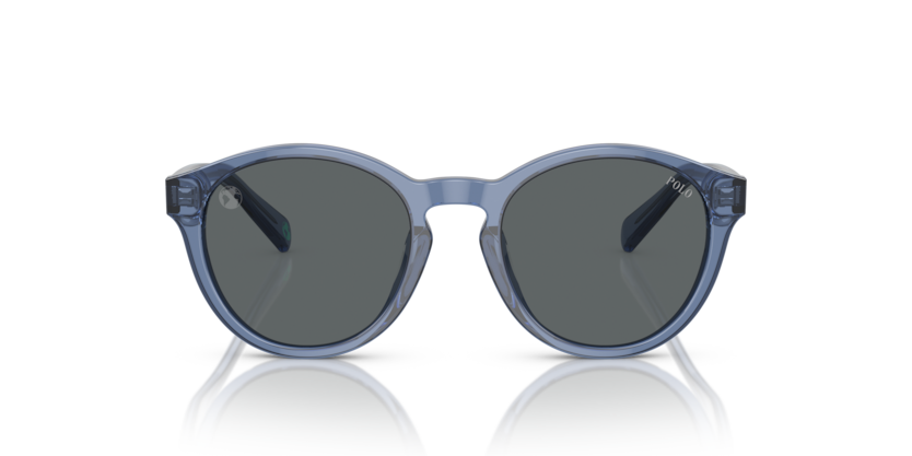 Shiny Transparent Blue - 0PP9505U 8056597831376