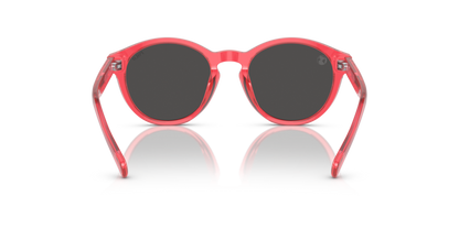 Shiny Transparent Pink - 0PP9505U 8056597845205