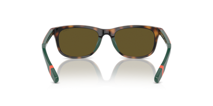 Shiny Havana - 0PP9507U 8056262038437