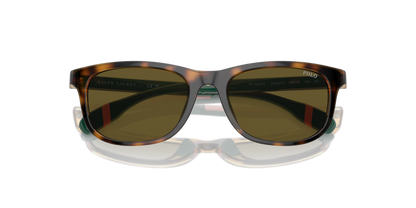 Shiny Havana - 0PP9507U 8056262038437