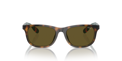 Shiny Havana - 0PP9507U 8056262038437