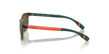 Shiny Havana - 0PP9507U 8056262038437