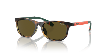 Shiny Havana - 0PP9507U 8056262038437