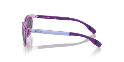 Shiny Transparent Lilac - 0PP9507U 8056262038468