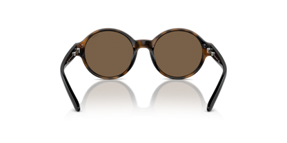 Shiny Dark Havana - 0PP9508U 8056262042557