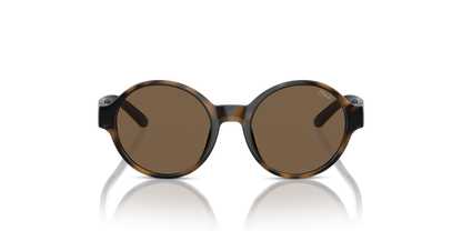 Shiny Dark Havana - 0PP9508U 8056262042557