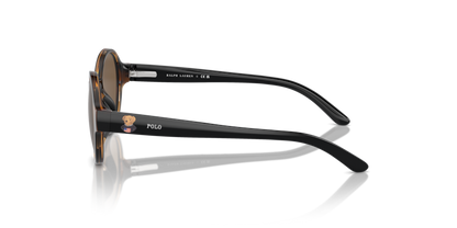 Shiny Dark Havana - 0PP9508U 8056262042557