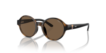 Shiny Dark Havana - 0PP9508U 8056262042557