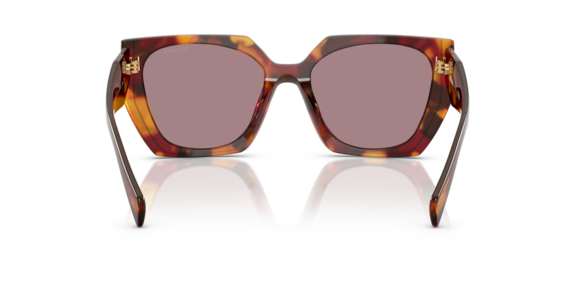 Poppy Tortoise - 0PR 15WS 8056262345986 Prada Sunglasses Woman Rectangle