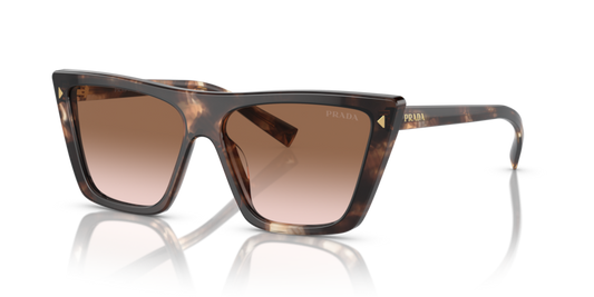 Caramel Tortoise - 0PR 21ZS 8056597870962