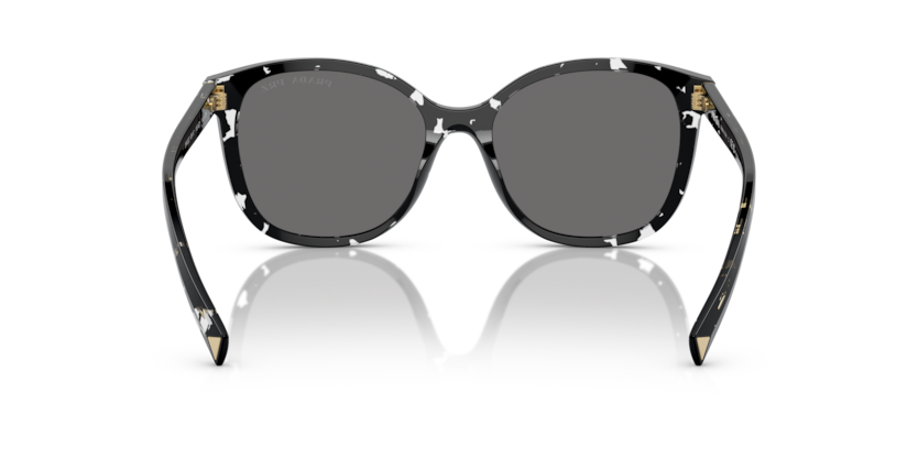 Black Crystal Tortoise - 0PR 22ZS 8056262084335