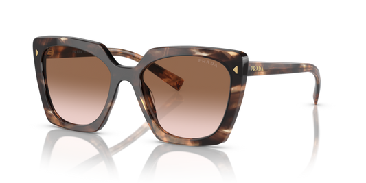 Caramel Tortoise - 0PR 23ZS 8056597899048