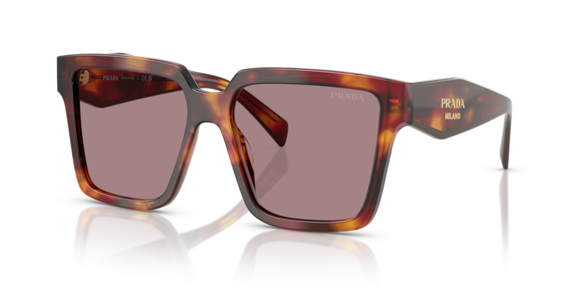 Poppy Tortoise - 0PR 24ZS 8056262357576 Prada Sunglasses Woman Square