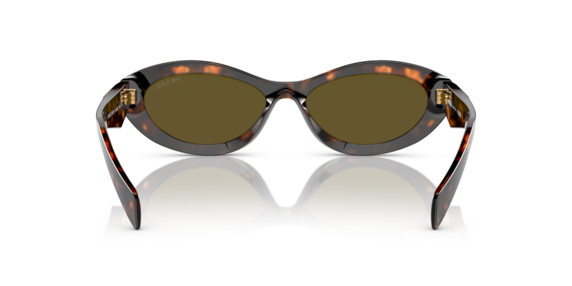 Sage/Honey Tortoise - 0PR 26ZS 8056597875219