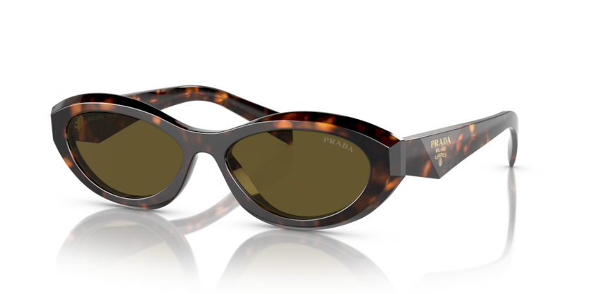 Sage/Honey Tortoise - 0PR 26ZS 8056597875219