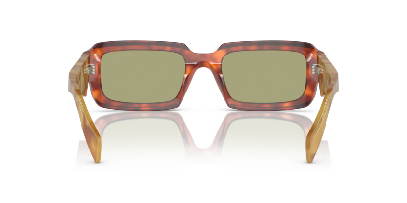 Cognac Tortoise - 0PR 27ZS 8056262084274