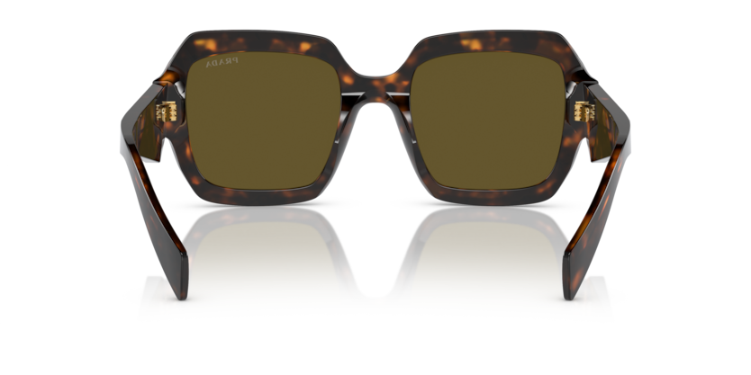 Sage/Honey Tortoise - 0PR 28ZS 8056597875486