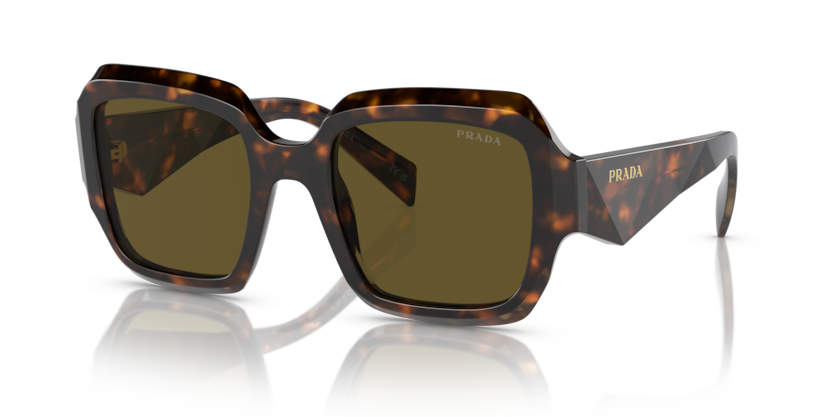 Sage/Honey Tortoise - 0PR 28ZS 8056597875486