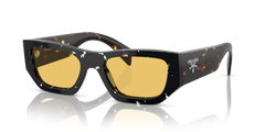 Havana Black Transparent - 0PR A01S - 8056597970228