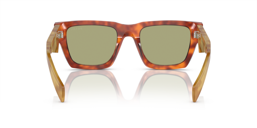 Cognac Tortoise - 0PR A06S - 8056597970389