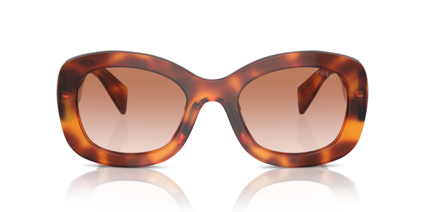 Cognac Tortoise - 0PR A13S 8056262080283