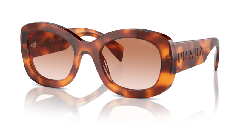 Cognac Tortoise - 0PR A13S 8056262080283